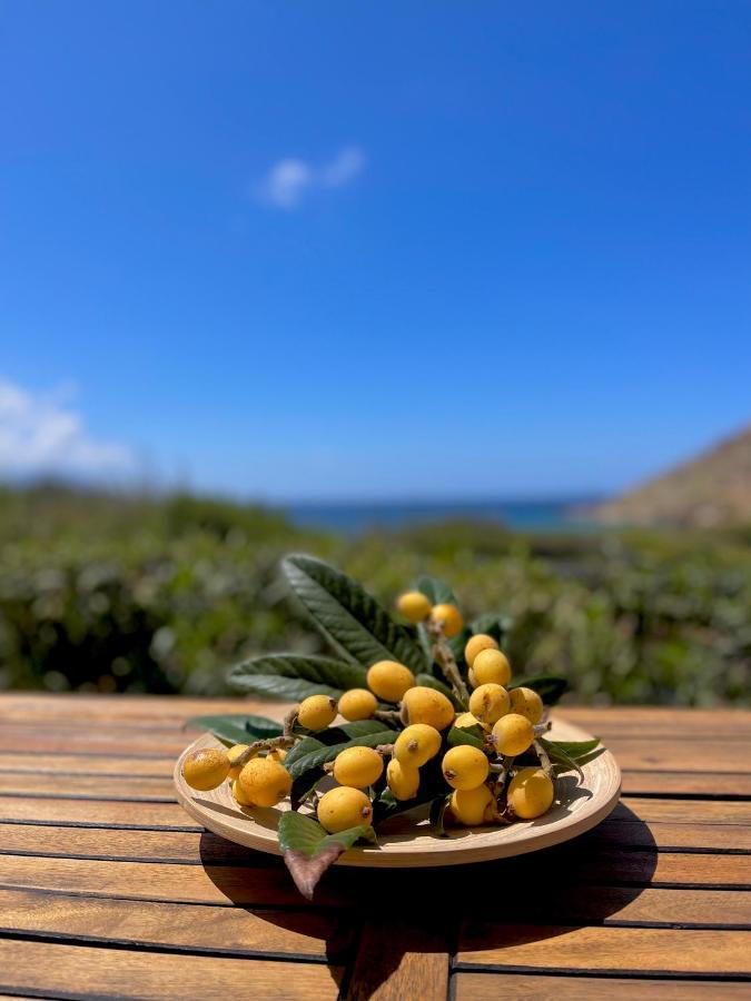 Seaside Studios Arkasa Karpathos Eksteriør billede