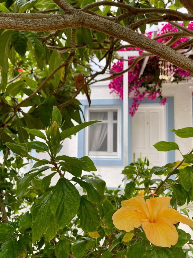 Seaside Studios Arkasa Karpathos Eksteriør billede